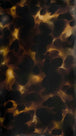 Classic Tortoiseshell